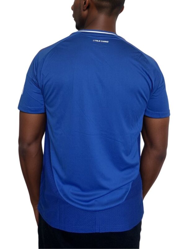 Italia Home 24-25 Euro Champions - Image 2